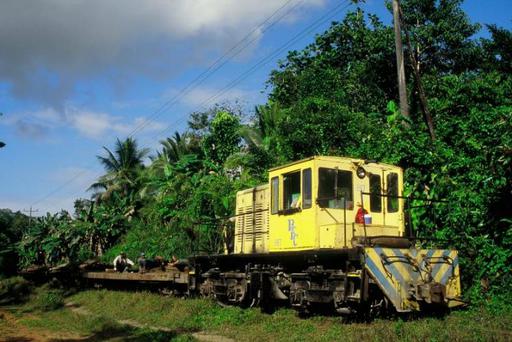 Abbauzug der Bananenbahn der Bocas Fruit Company zwischen Almirante und Changuinola mit Lokomotive 817 (GE 32 tons).